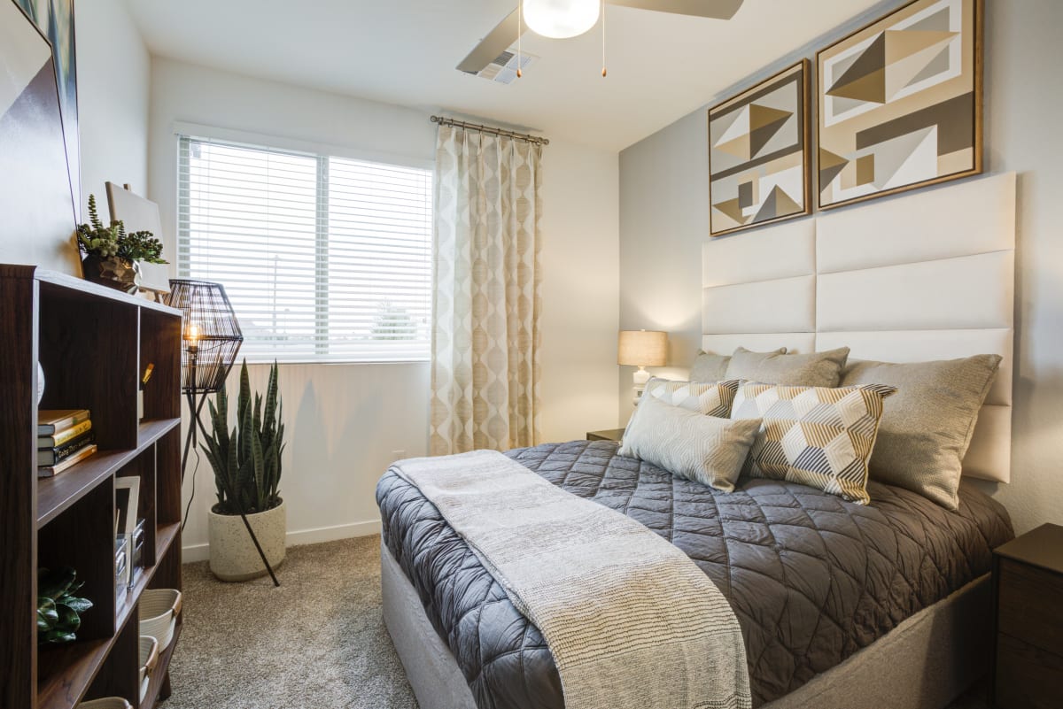 Scottsdale AZ Apartments Lucent Scottsdale Photo Gallery